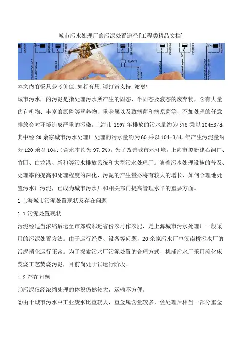 城市污水处理厂的污泥处置途径[工程类精品文档]