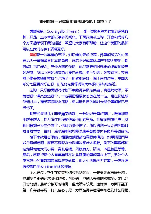 如何挑选一只健康的黄额闭壳龟（盒龟）？