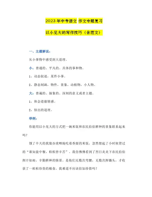 2023年中考语文作文专题复习：以小见大的写作技巧