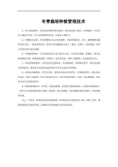冬青栽培种植管理技术