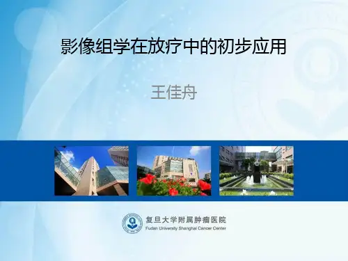 王佳舟--影像组学在放疗中的初步应用