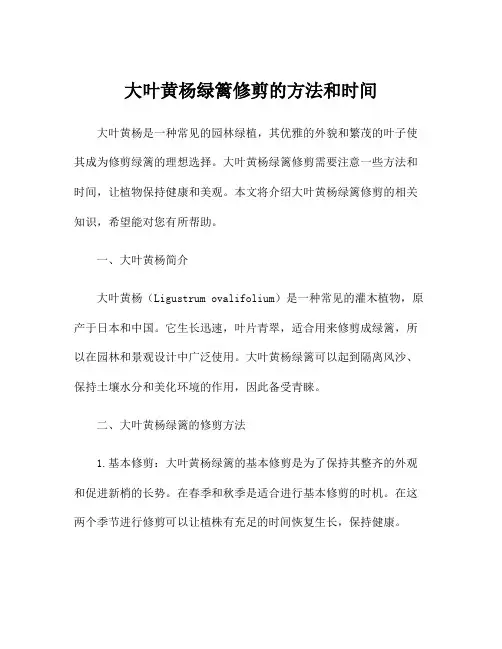 大叶黄杨绿篱修剪的方法和时间