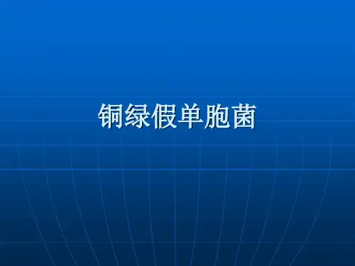 铜绿假单胞菌