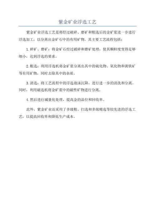 紫金矿业浮选工艺