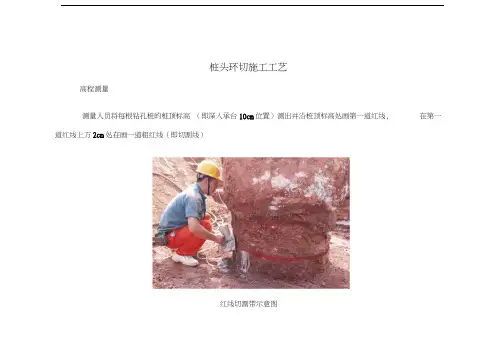 桩头环切施工工艺