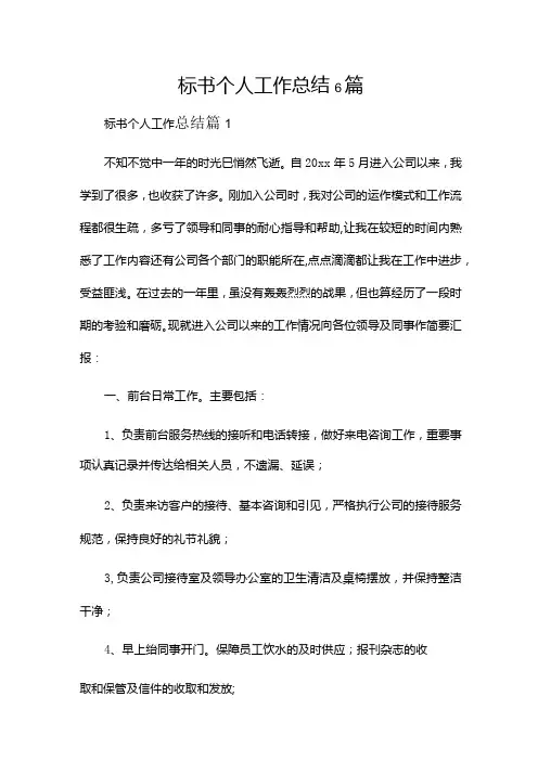 标书个人工作总结6篇.docx