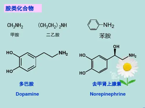 有机化学有机化学胺以及生物碱