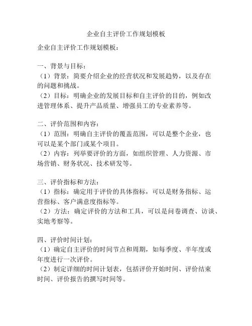 企业自主评价工作规划模板