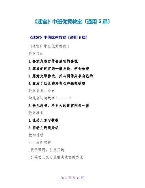 《迷宫》中班优秀教案(通用5篇)