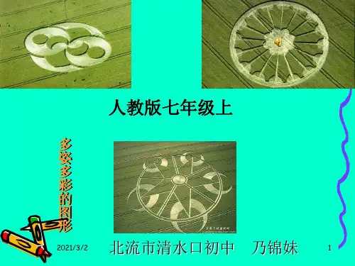 多姿多彩的图形精选课件PPT