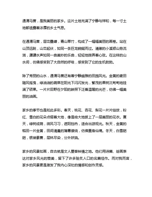 描写通渭马营家乡的风景的句子