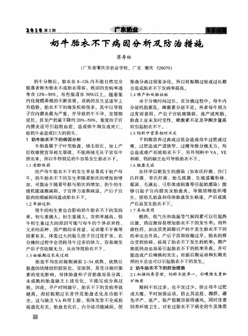 奶牛胎衣不下病因分析及防治措施