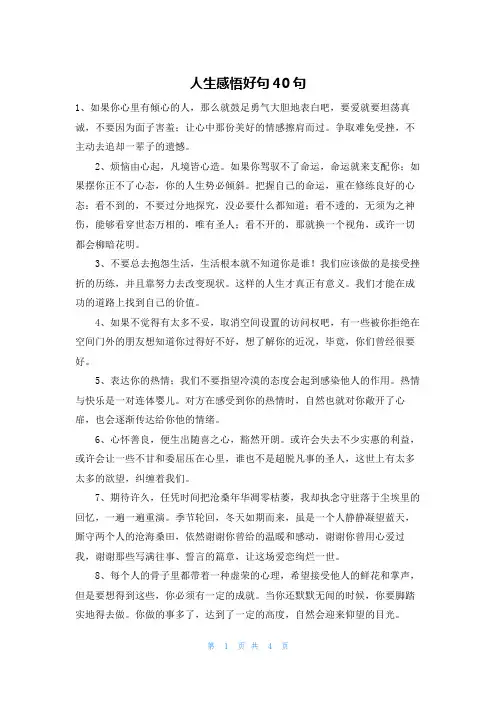 人生感悟好句40句