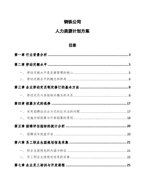 钢铁公司人力资源计划方案