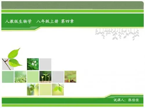 第五单元第四章第二节细菌