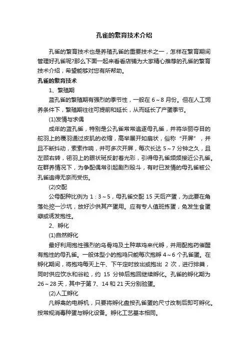 孔雀的繁育技术介绍