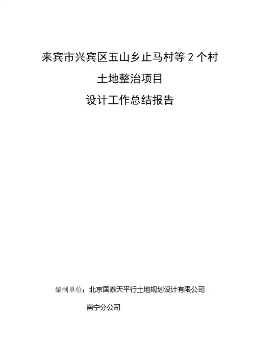 2项目设计工作总结报告