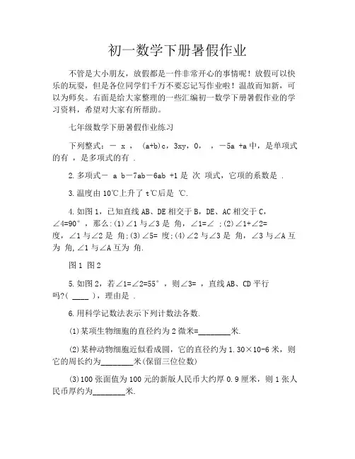 初一数学下册暑假作业