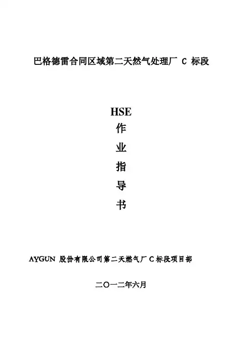 HSE作业指导书