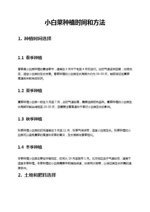 小白菜种植时间和方法