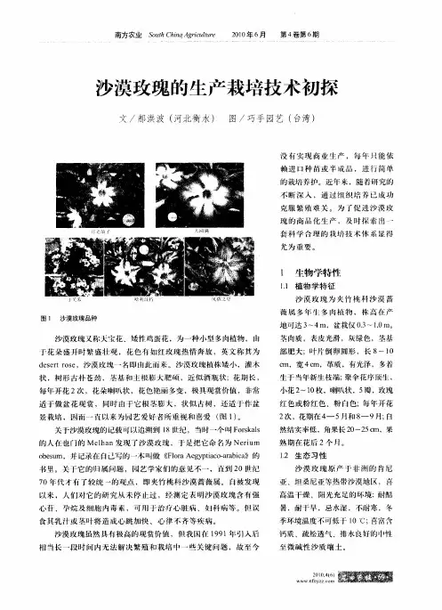 沙漠玫瑰的生产栽培技术初探