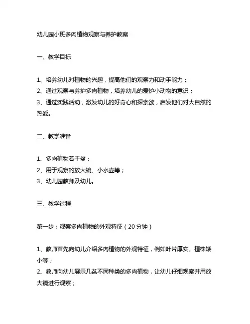 幼儿园小班多肉植物观察与养护教案 幼儿园植物教育