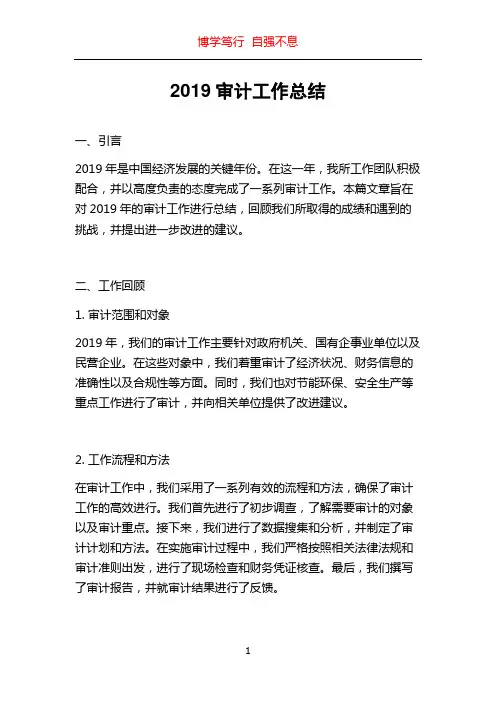2019审计工作总结