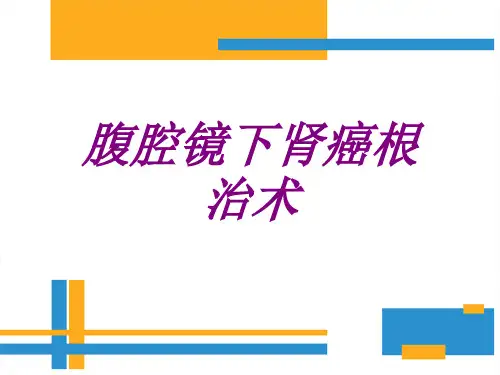 腹腔镜下肾癌根治术PPT培训课件