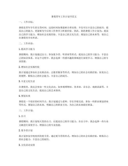 暑假青年工作计划书范文