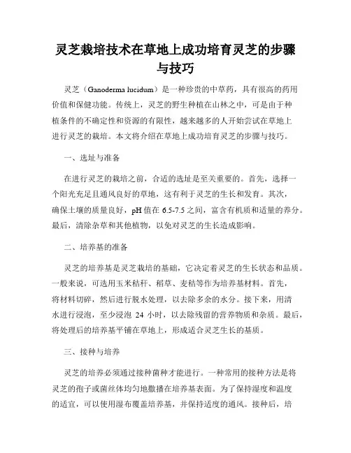 灵芝栽培技术在草地上成功培育灵芝的步骤与技巧