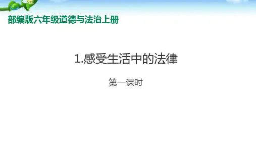六年级上册道德与法治第一课《感受生活中的法律》课件
