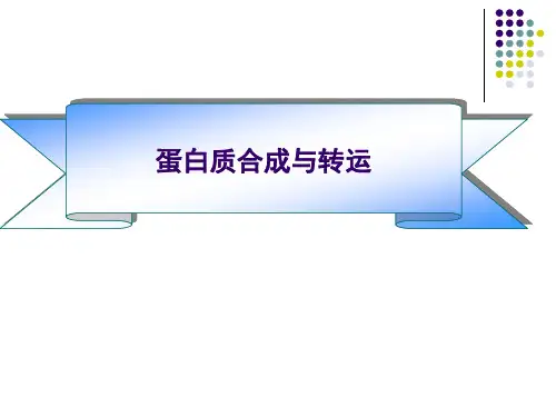 蛋白质合成及转运生科