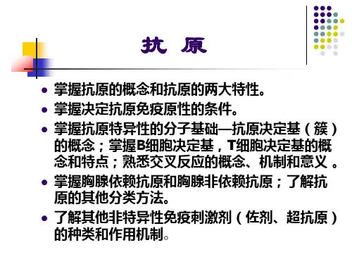 抗原 PPT课件
