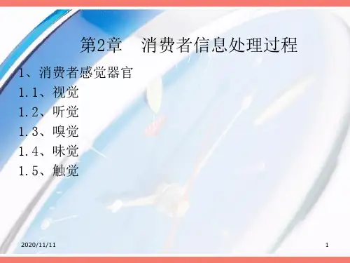 第二章 消费者信息处理过程 消费者行为学期末整体复习资料