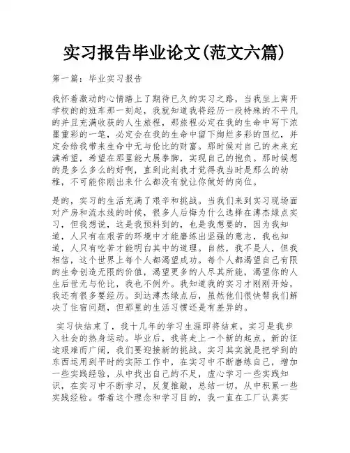 实习报告毕业论文(范文六篇)