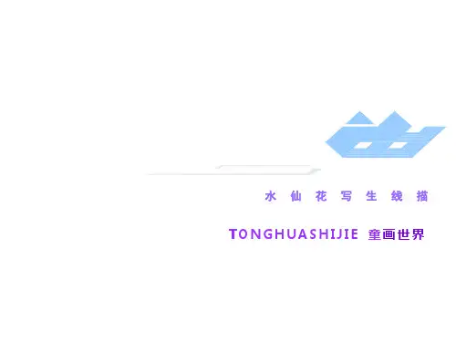 水仙花线描课件
