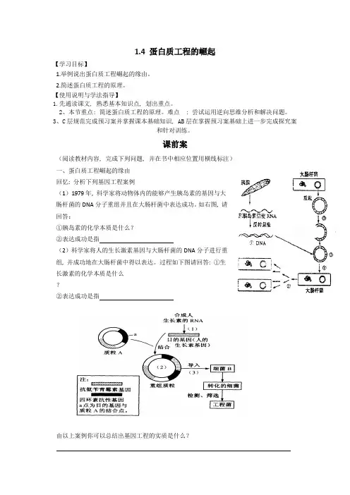 蛋白质工程的崛起-导学案