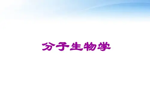 分子生物学--绪论  ppt课件