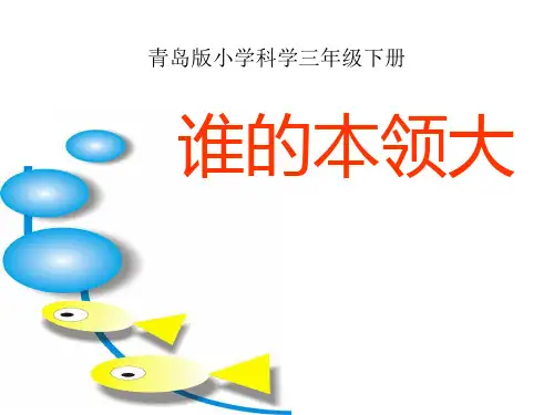 《谁的本领大》PPT-完美版