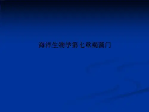 海洋生物学第七章褐藻门