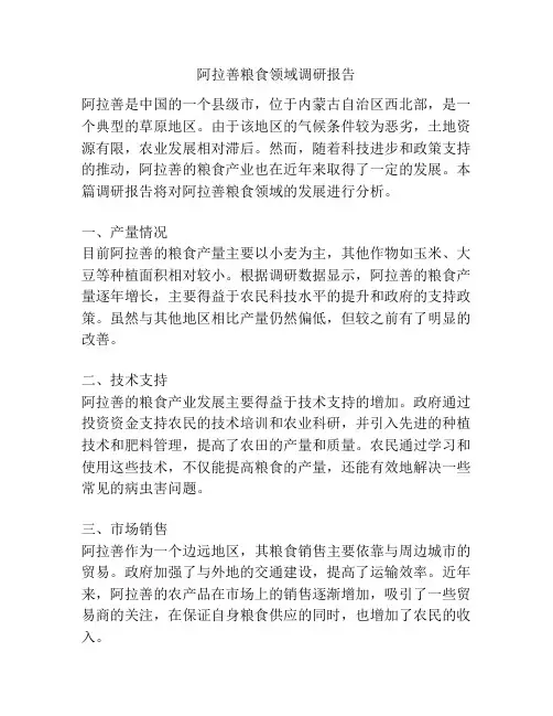 阿拉善粮食领域调研报告