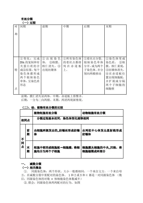 高中生物必修二减数分裂详尽分析