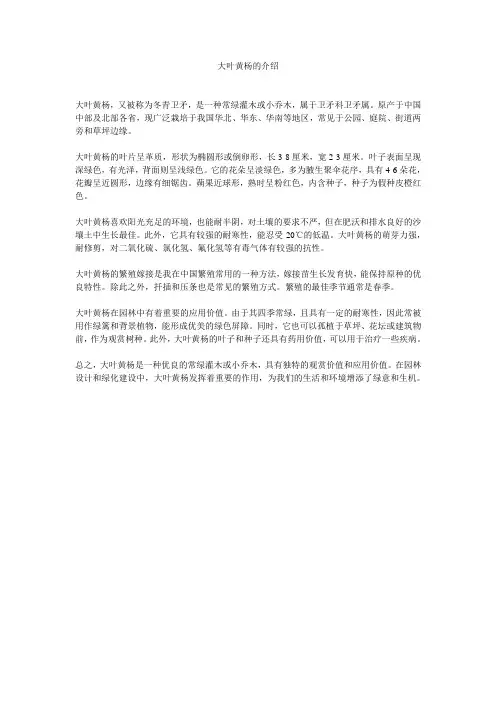 大叶黄杨的介绍