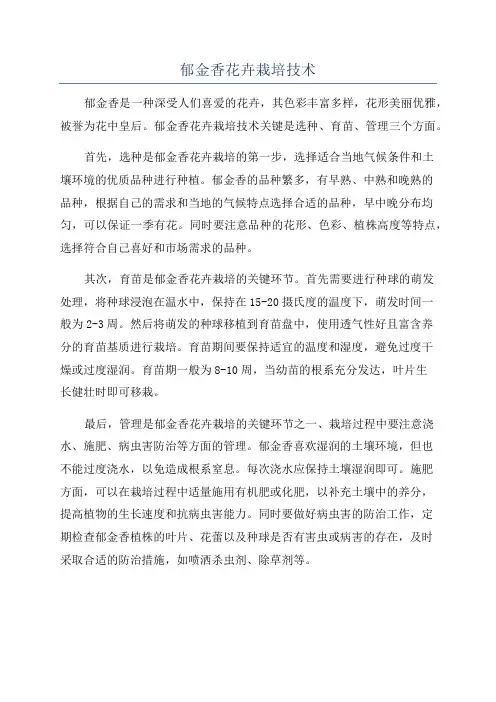 郁金香花卉栽培技术
