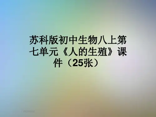 苏科版初中生物八上第七单元《人的生殖》课件(25张)