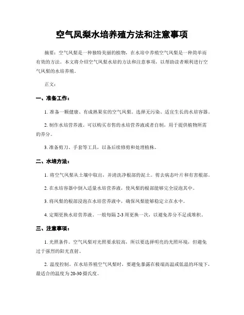 空气凤梨水培养殖方法和注意事项