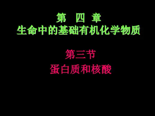 4.3蛋白质和核酸》课件(新人教版选修5