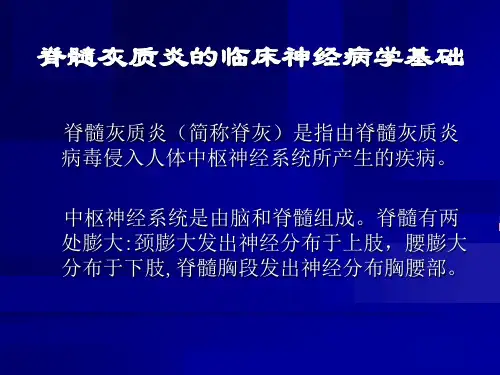 脊髓灰质炎的诊断与鉴别诊断课件