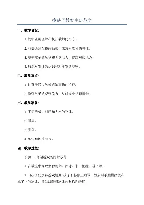 摸瞎子教案中班范文