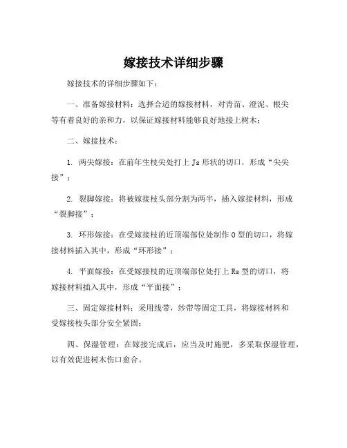 嫁接技术详细步骤